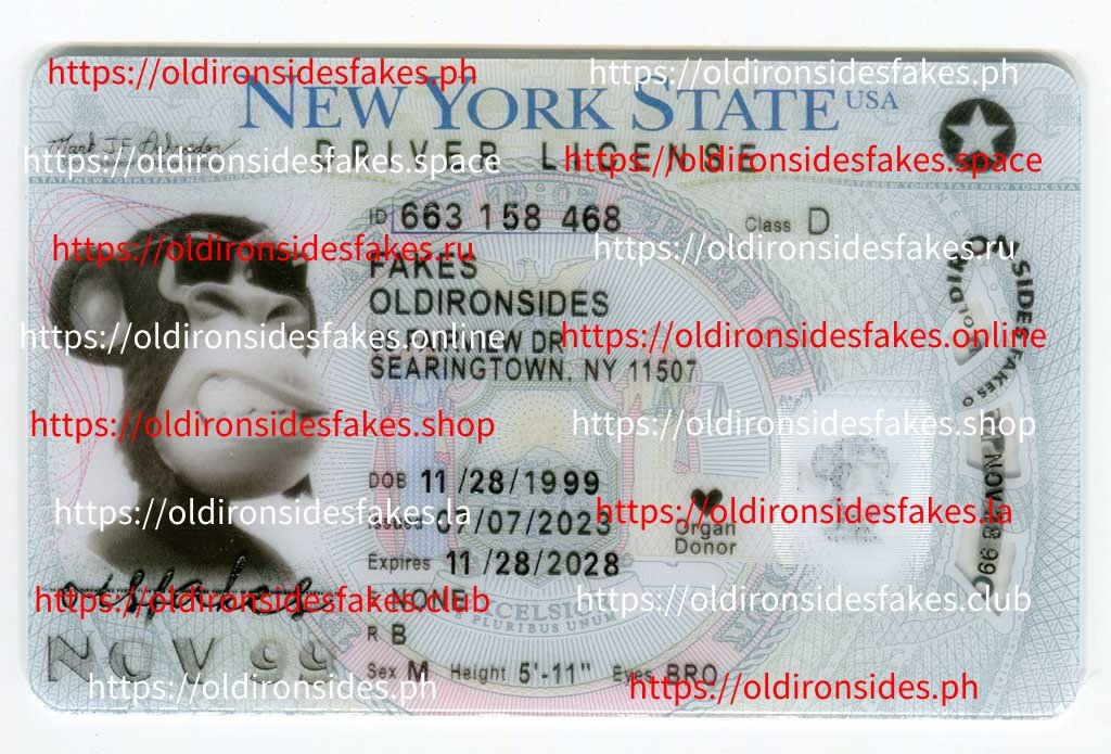 Best & Fast Fake ID Service | New York Driver License