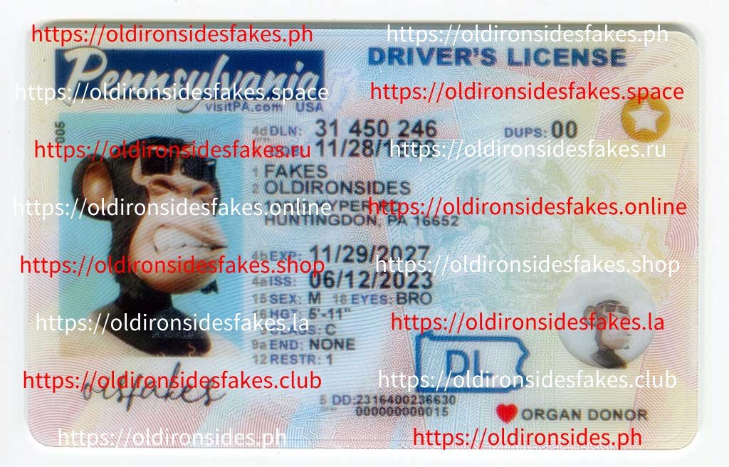 Best & Fast Fake ID Service | Pennsylvania Driver License