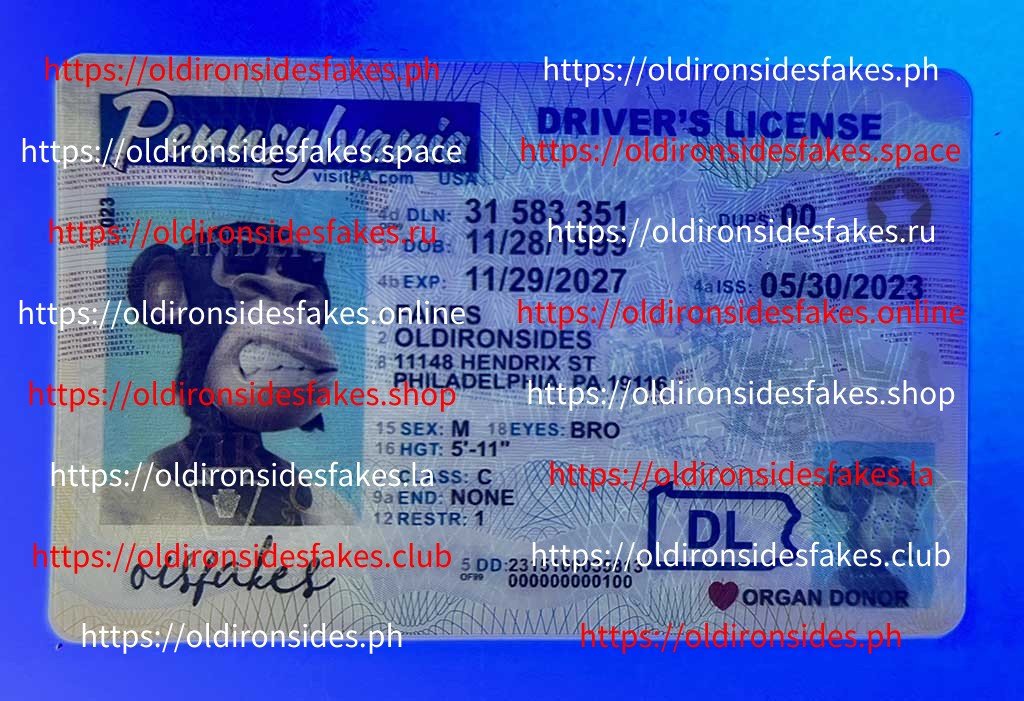 Pennsylvania Driver License(New PA O21) - Image 3