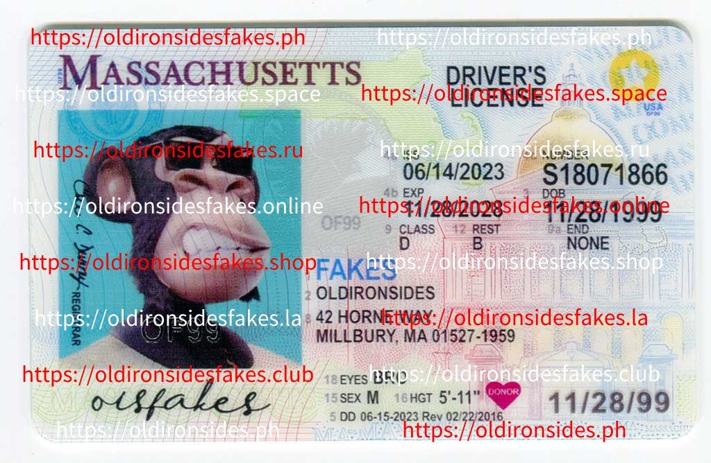 Best & Fast Fake ID Service | Massachusetts Driver License