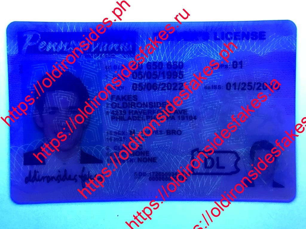 Pennsylvania Driver License(New PA O21) - Image 5