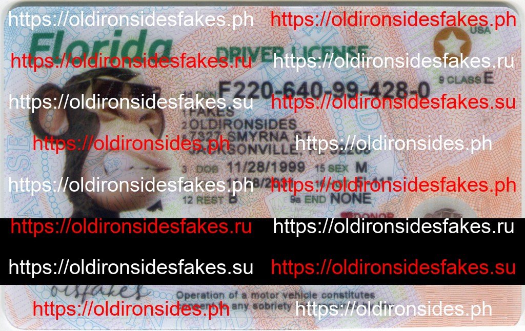 Best & Fast Fake ID Service | Florida Driver License