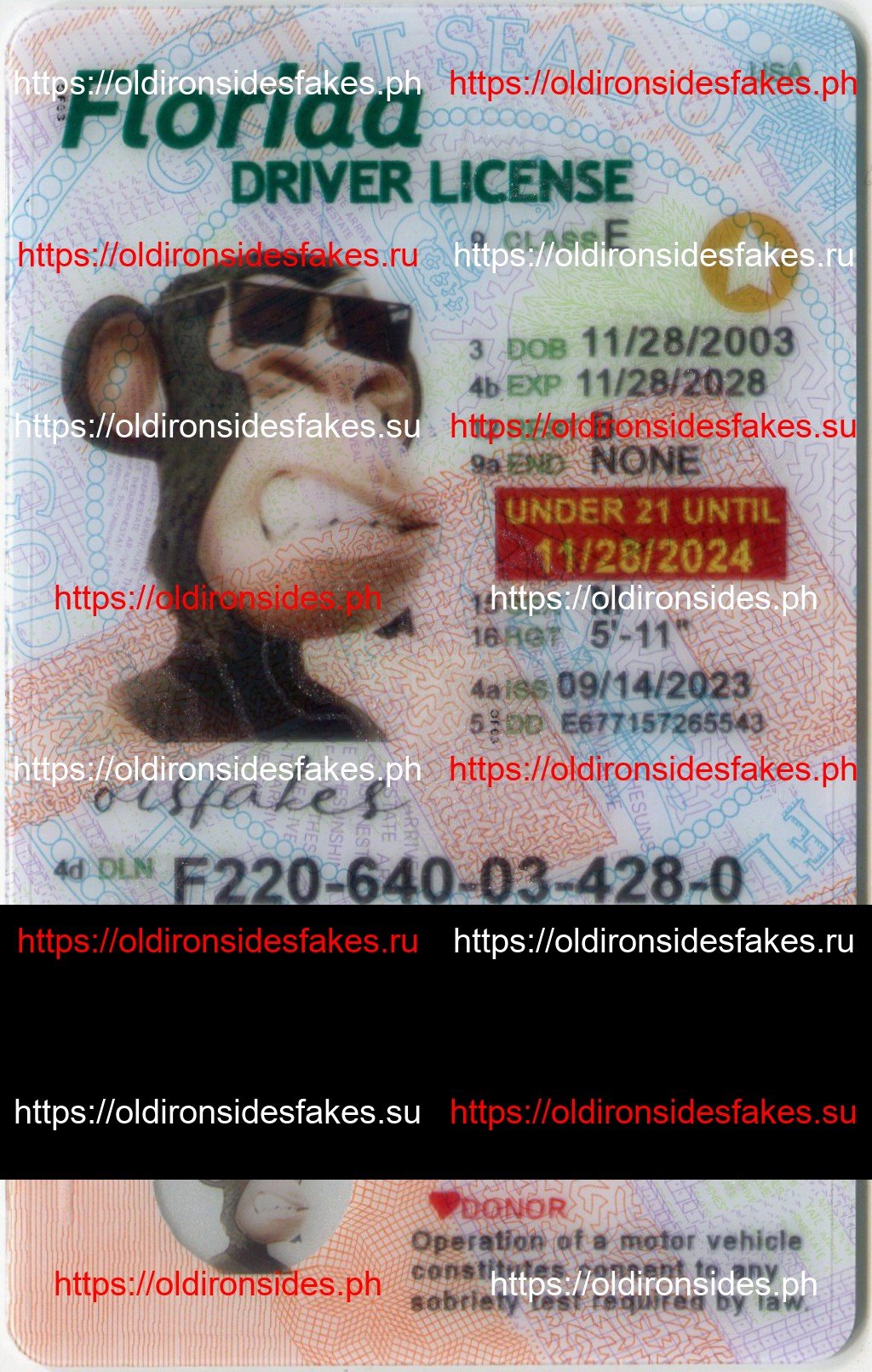 Best & Fast Fake ID Service | Florida Driver License