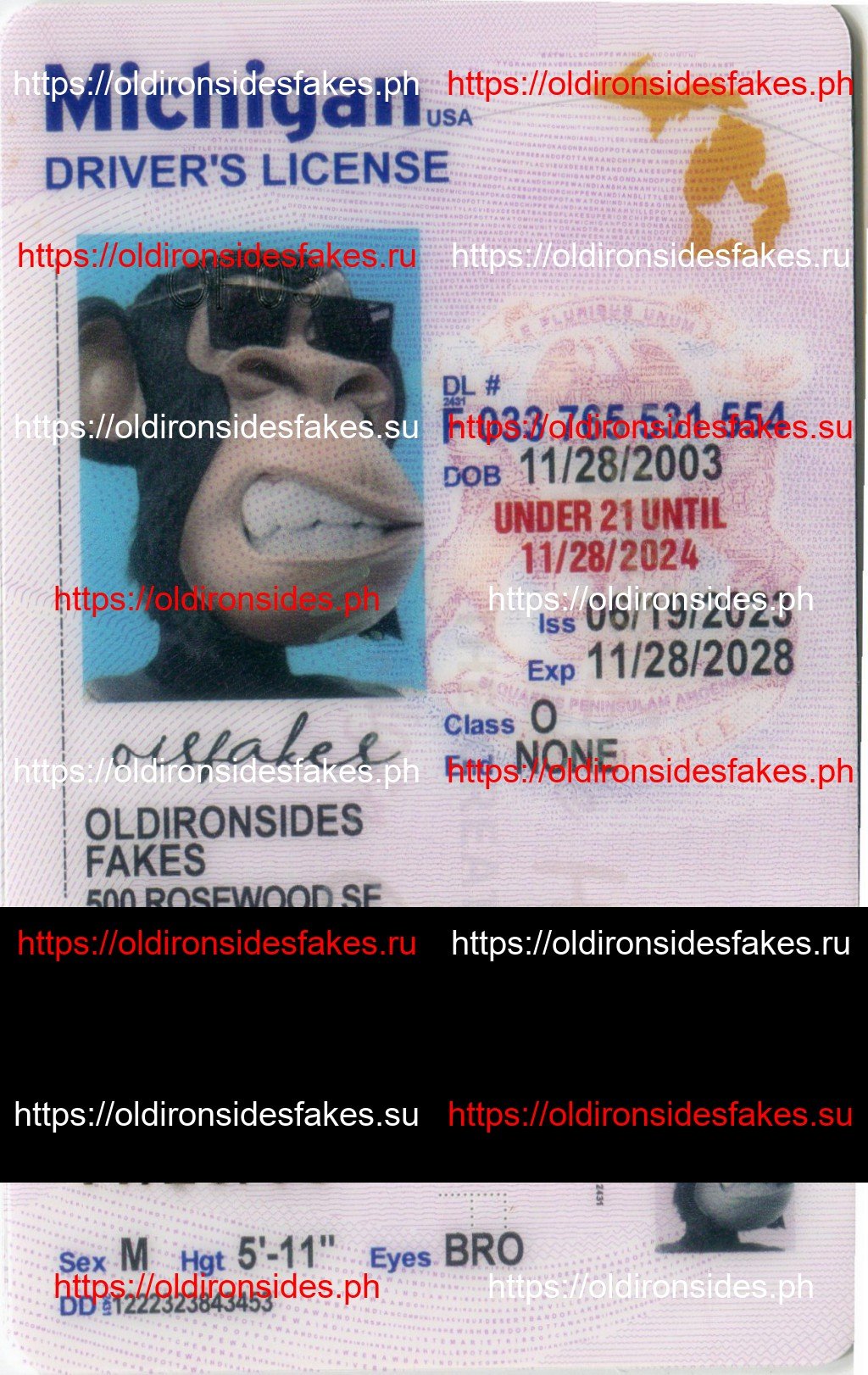 Best & Fast Fake ID Service | Michigan Driver License