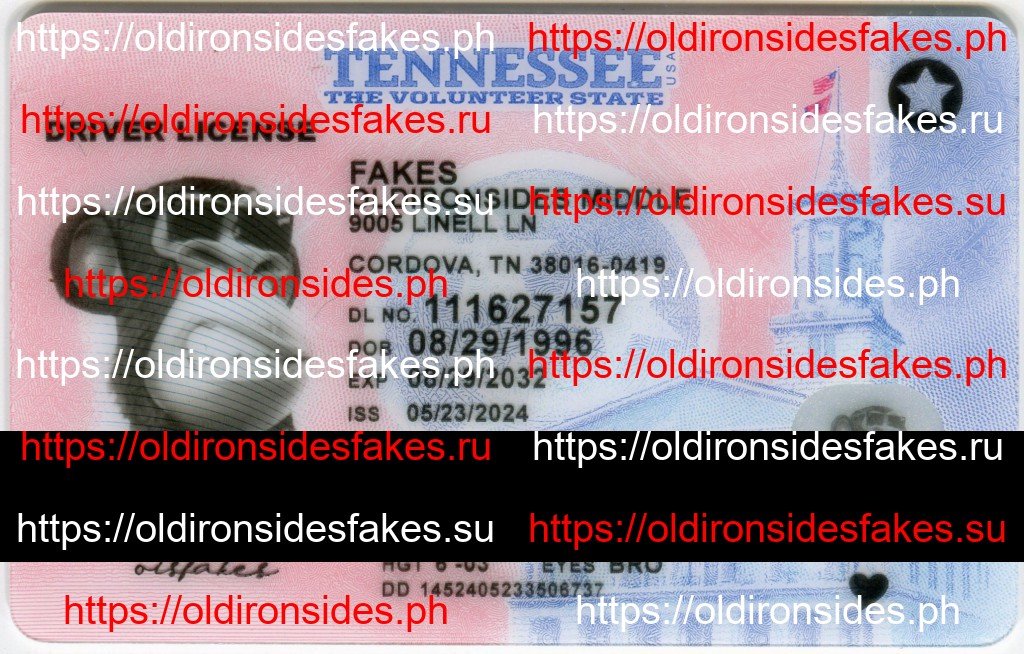 Best & Fast Fake ID Service | Tennessee Driver License