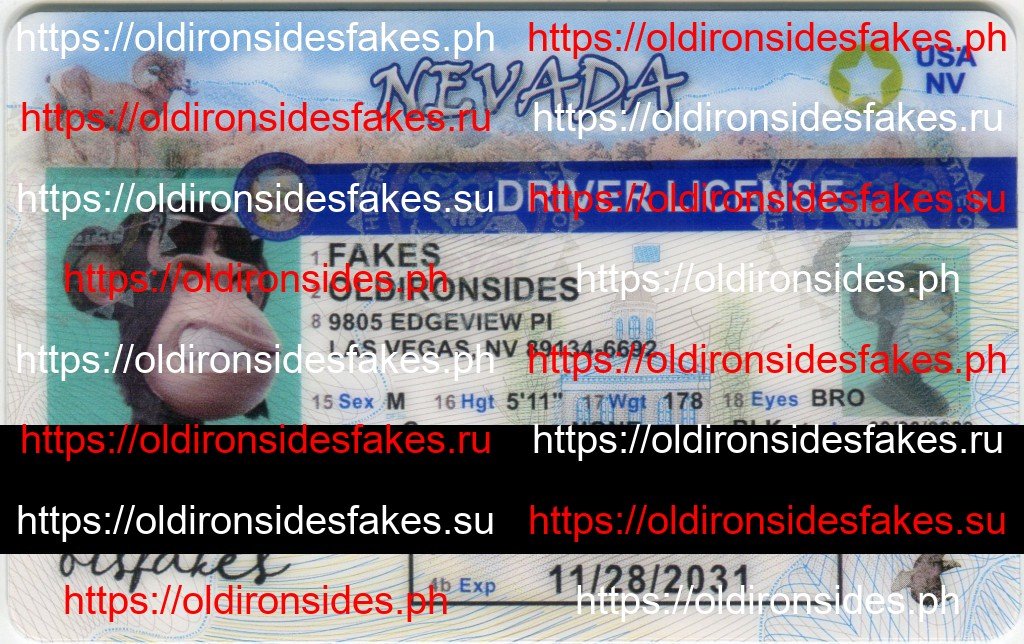 Best & Fast Fake ID Service | Nevada Driver License
