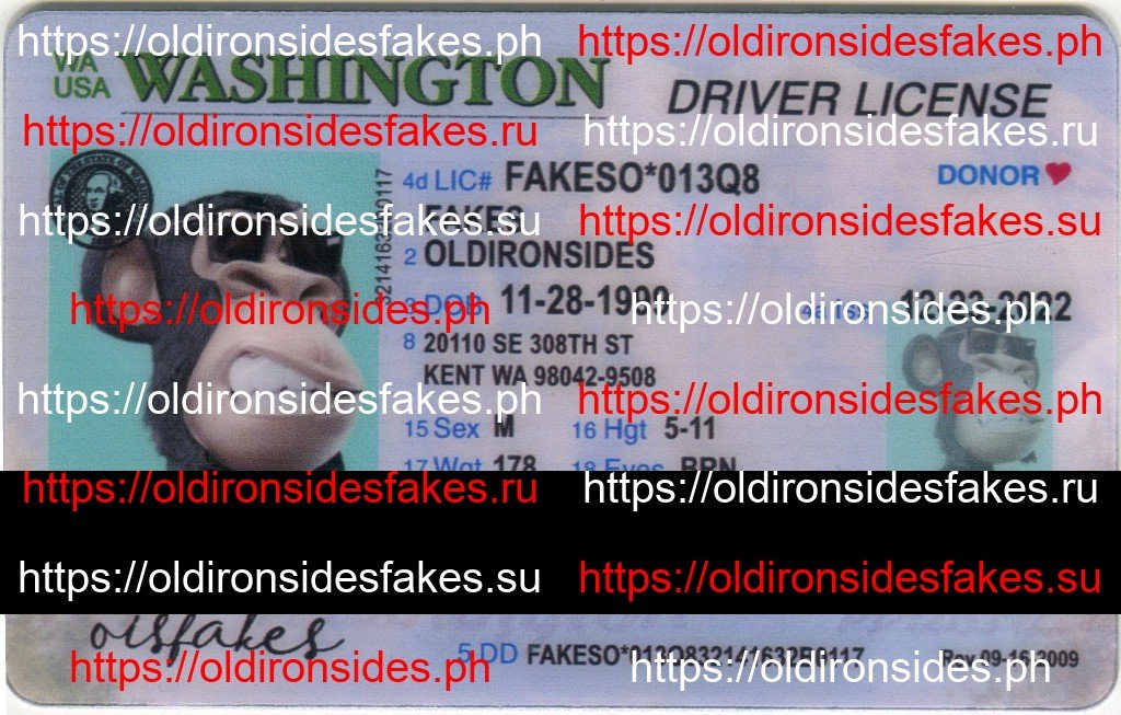 Best & Fast Fake ID Service | Washington Driver License(New WA)