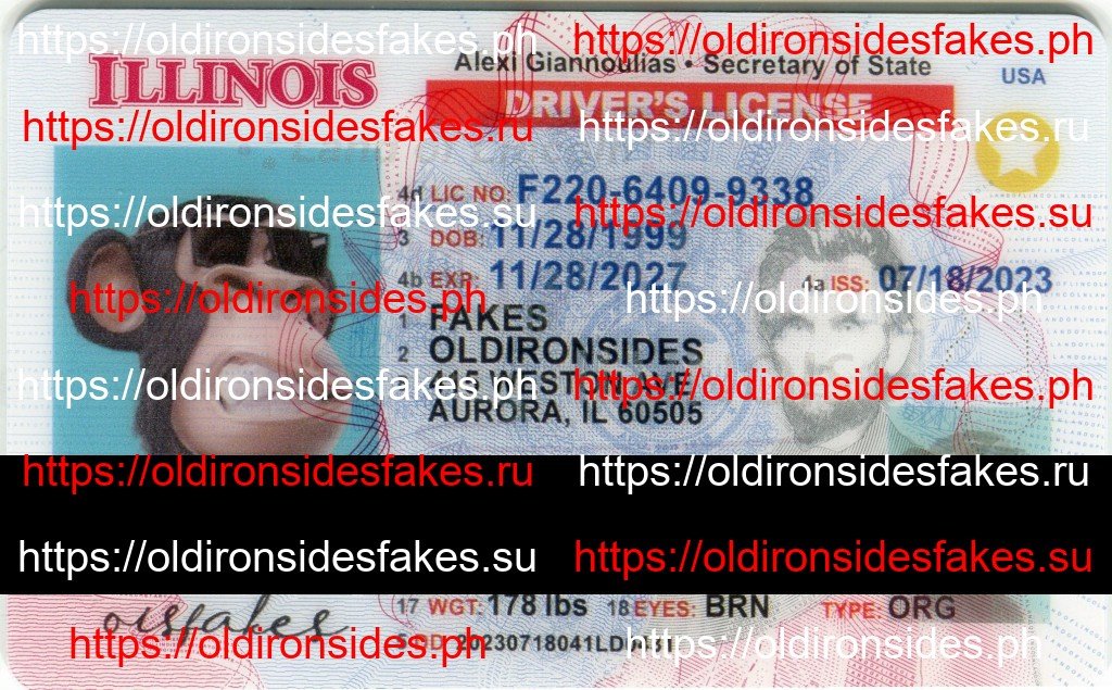 Best & Fast Fake ID Service | Illinois Driver License