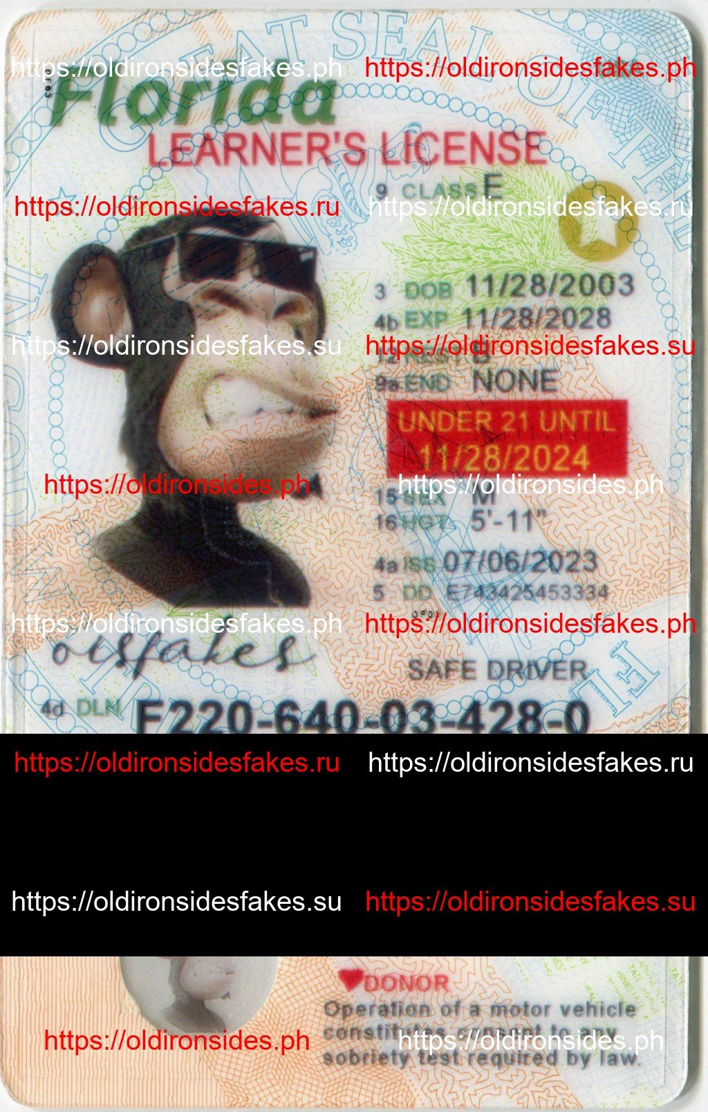 Best & Fast Fake ID Service | Florida Driver License